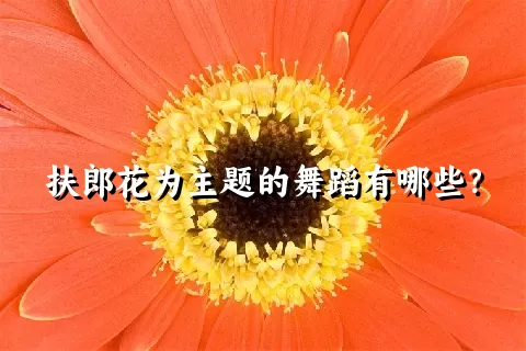 扶郎花为主题的舞蹈有哪些？