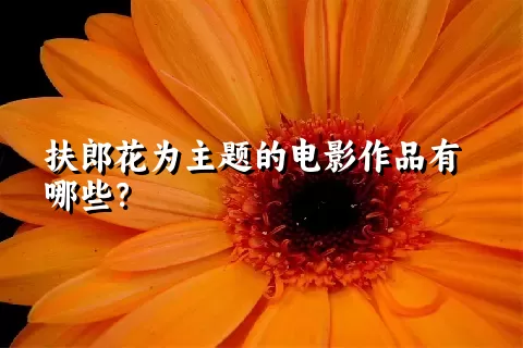 扶郎花为主题的电影作品有哪些？