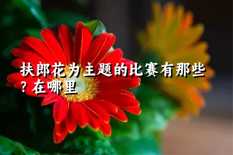 扶郎花为主题的比赛有那些？在哪里