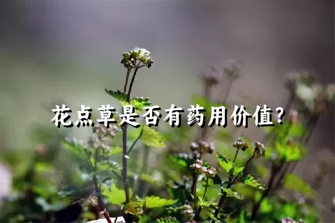 花点草是否有药用价值？