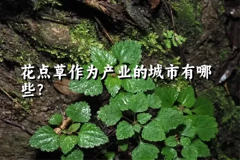 花点草作为产业的城市有哪些？