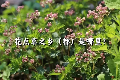 花点草之乡（都）是哪里？