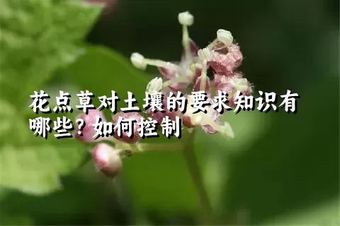 花点草对土壤的要求知识有哪些？如何控制