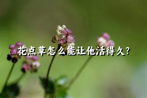 花点草怎么能让他活得久？