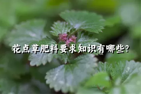 花点草肥料要求知识有哪些？