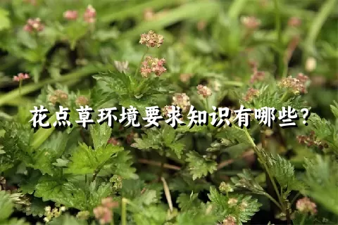 花点草环境要求知识有哪些？