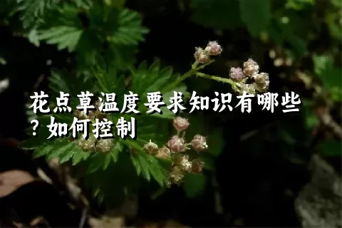 花点草温度要求知识有哪些？如何控制