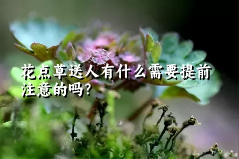 花点草送人有什么需要提前注意的吗？