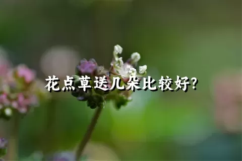 花点草送几朵比较好？