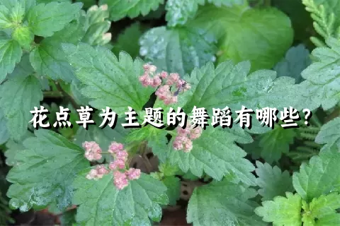 花点草为主题的舞蹈有哪些？