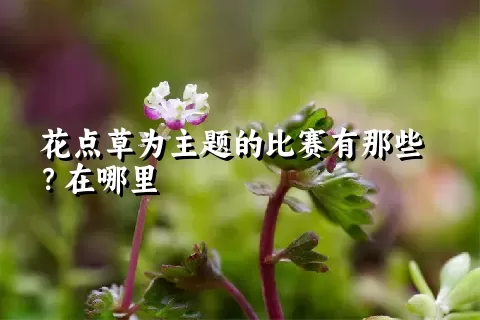 花点草为主题的比赛有那些？在哪里