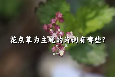 花点草为主题的诗词有哪些？