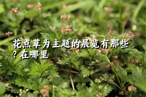 花点草为主题的展览有那些？在哪里