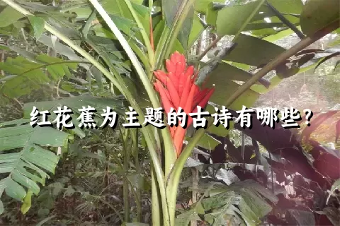 红花蕉为主题的古诗有哪些？