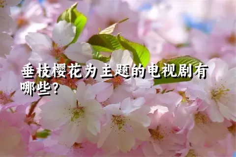 垂枝樱花为主题的电视剧有哪些？