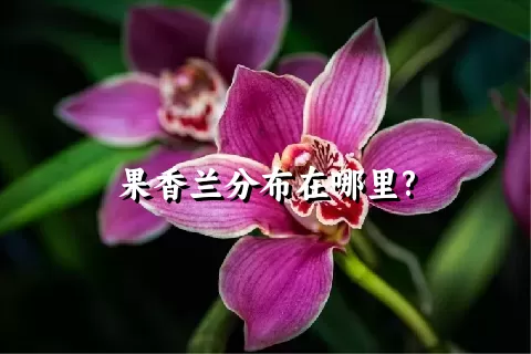 果香兰分布在哪里?