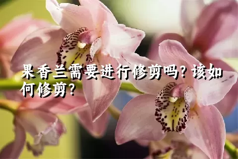 果香兰需要进行修剪吗？该如何修剪？