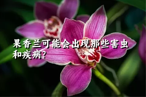 果香兰可能会出现那些害虫和疾病？