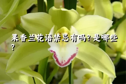 果香兰花语禁忌有吗？是哪些？