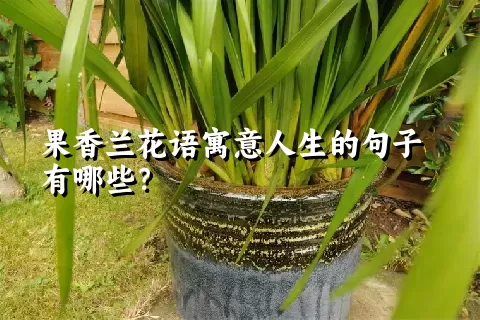 果香兰花语寓意人生的句子有哪些？