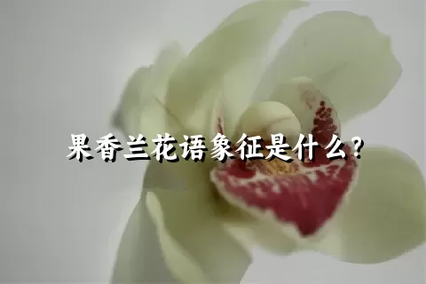 果香兰花语象征是什么？