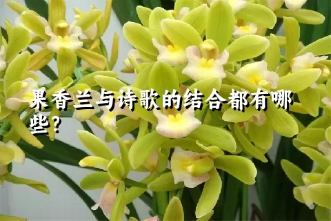 果香兰与诗歌的结合都有哪些？