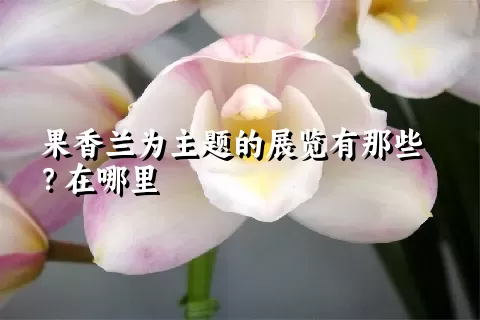 果香兰为主题的展览有那些？在哪里