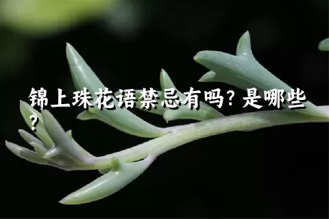 锦上珠花语禁忌有吗？是哪些？