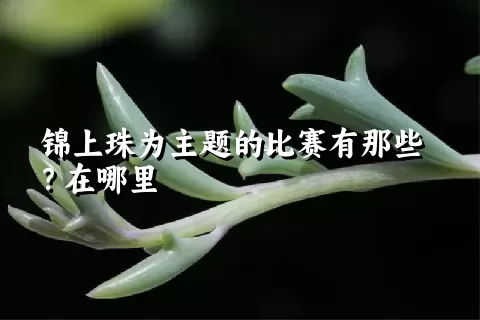 锦上珠为主题的比赛有那些？在哪里