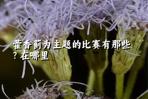 藿香蓟为主题的比赛有那些？在哪里