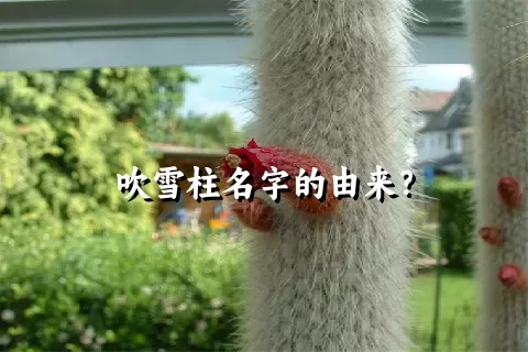 吹雪柱名字的由来？