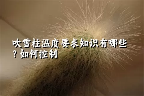 吹雪柱温度要求知识有哪些？如何控制