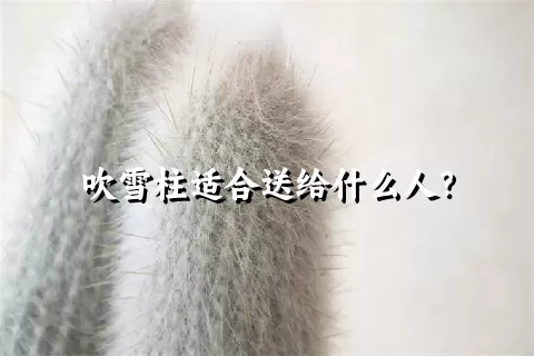 吹雪柱适合送给什么人？