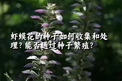 虾蟆花的种子如何收集和处理？能否通过种子繁殖？