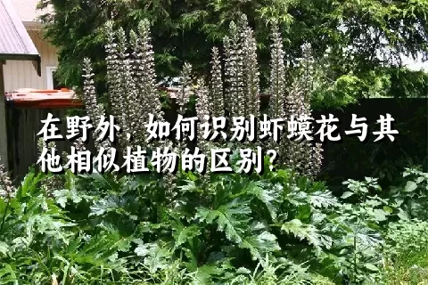 在野外，如何识别虾蟆花与其他相似植物的区别？