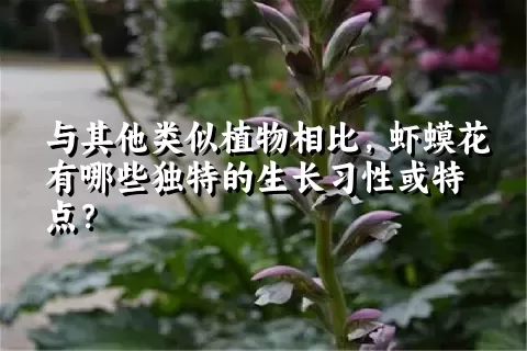 与其他类似植物相比，虾蟆花有哪些独特的生长习性或特点？