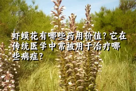 虾蟆花有哪些药用价值？它在传统医学中常被用于治疗哪些病症？