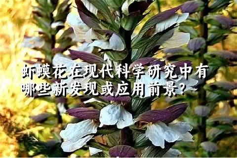 虾蟆花在现代科学研究中有哪些新发现或应用前景？