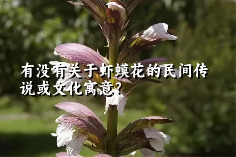 有没有关于虾蟆花的民间传说或文化寓意？