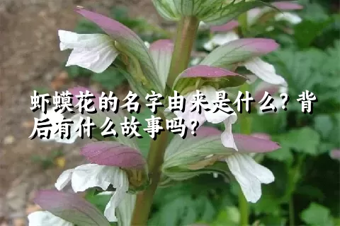 虾蟆花的名字由来是什么？背后有什么故事吗？