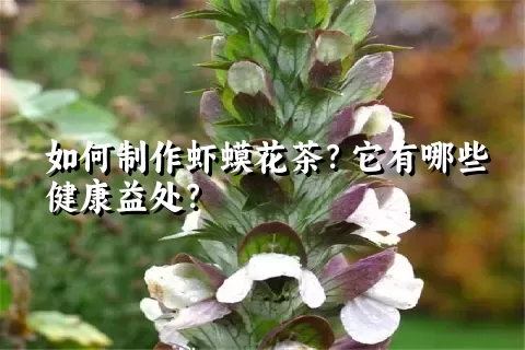 如何制作虾蟆花茶？它有哪些健康益处？