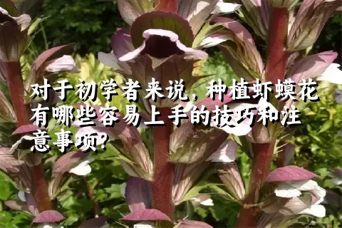 对于初学者来说，种植虾蟆花有哪些容易上手的技巧和注意事项？