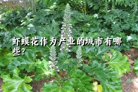 虾蟆花作为产业的城市有哪些？