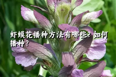 虾蟆花播种方法有哪些？如何播种？