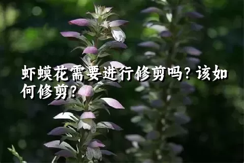 虾蟆花需要进行修剪吗？该如何修剪？