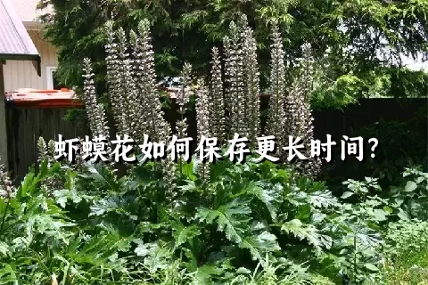 虾蟆花如何保存更长时间？