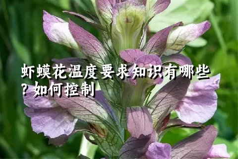 虾蟆花温度要求知识有哪些？如何控制