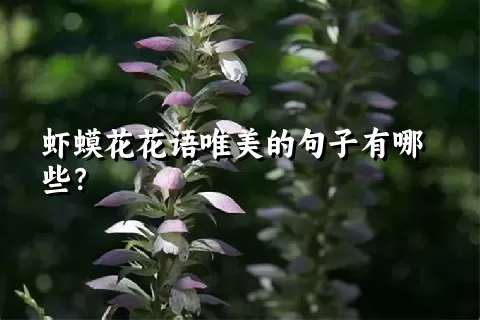 虾蟆花花语唯美的句子有哪些？