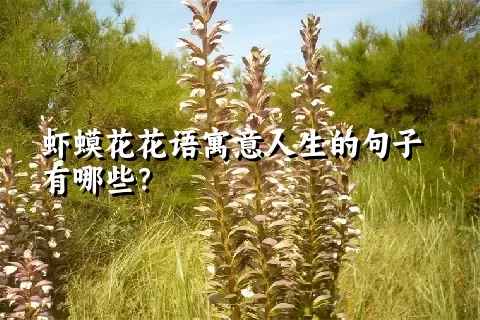 虾蟆花花语寓意人生的句子有哪些？