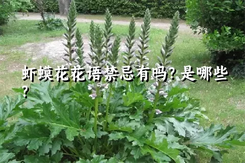 虾蟆花花语禁忌有吗？是哪些？